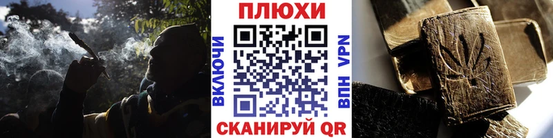 ГАШ Premium  Купить  Камышлов 